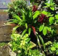 Photo15